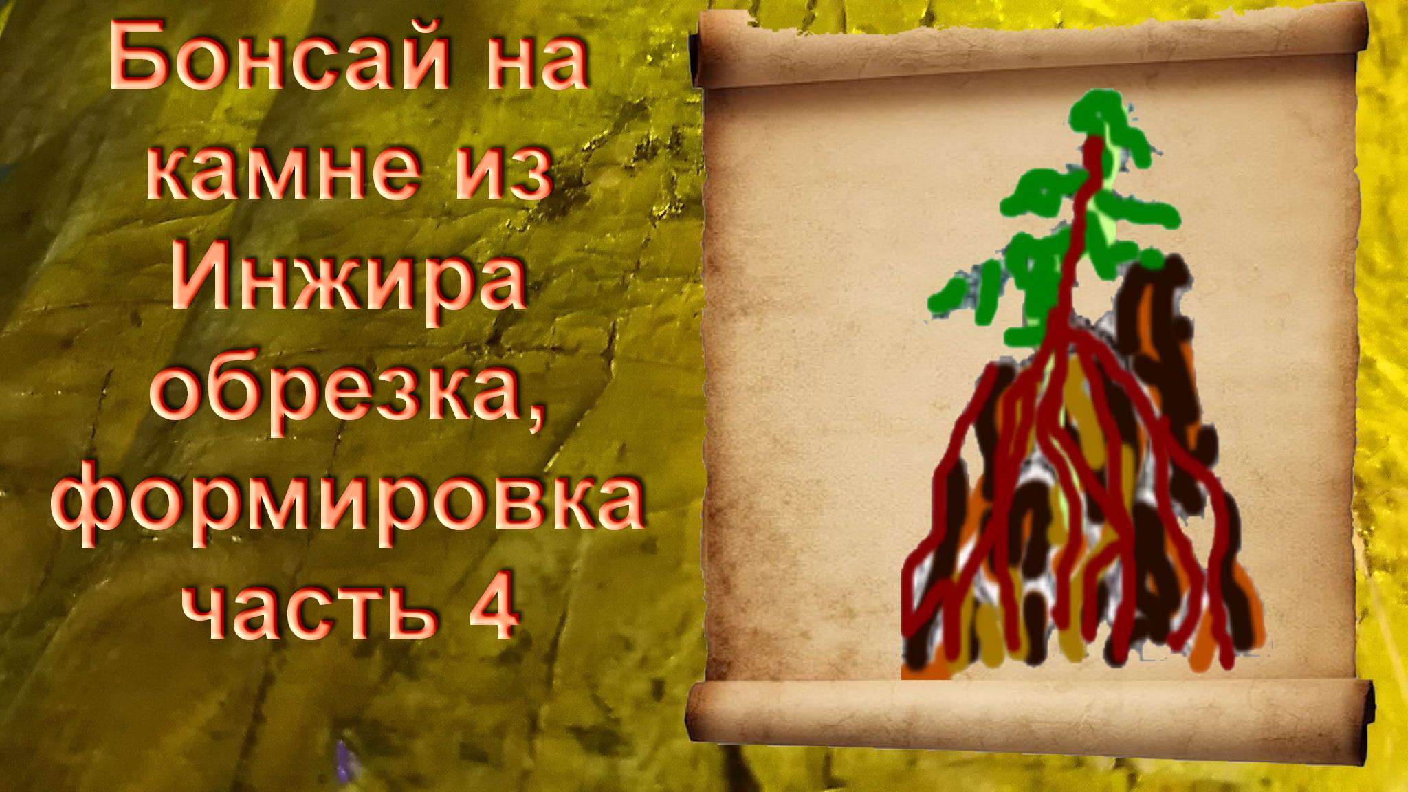 4.Бонсай на камне из Инжира стиль моеги обрезка,формировка часть 4