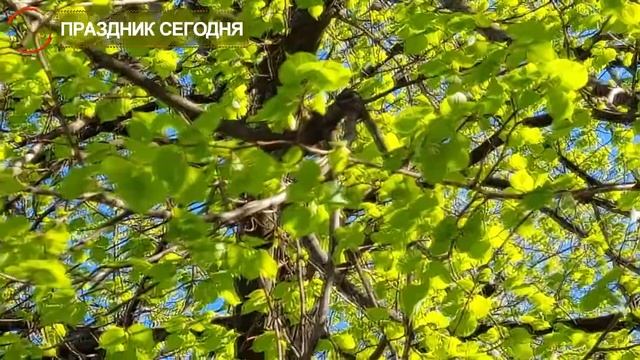 13 июня праздник. Еремей Распрягальник. Что нельзя делать. Народные традиции и приметы. Праздник