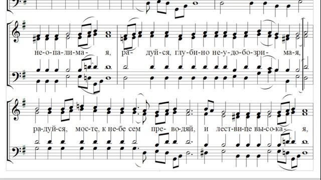 🎼 