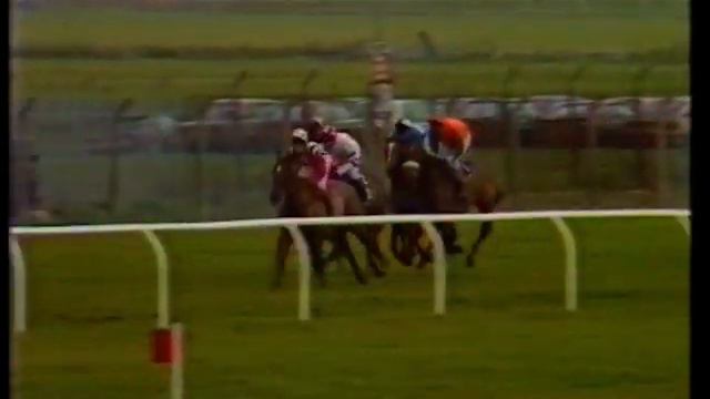 1989 Perrier Jouet Novices' Chase смотреть онлайн
