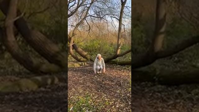 Утренняя зарядка в лесу, К 13, учитель физической культуры А.К. Киртянова смотреть онлайн