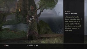 ESO PRIEST OF THE GREEN COSTUME