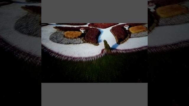 Полет над Москвой смотреть онлайн