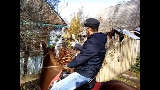 Белень - белая, сирень - сиреневая, РФ - советская! смотреть онлайн