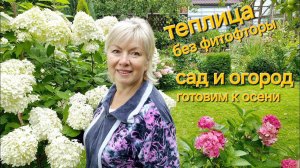 Работаем в САДУ.Урожайные ТОМАТЫ до октября БЕЗ ФИТОФТОРЫ. ЭТО НАДО СДЕЛАТЬ в августе