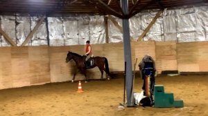 VLOG. Работа с молодой лошадью : разминка и верхом.