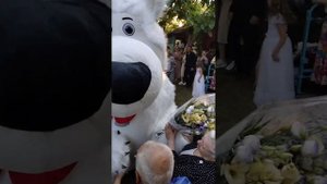 Поздравление с годовщиной свадьбы 55 лет совместной жизни ❗🎉🐻❄️💐