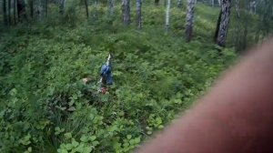 Всё что осталось от кладбища домашних животных под Ангарском