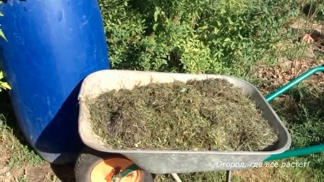 306. ВАЖНЕЙШАЯ подкормка малины Чем, когда и как. смотреть онлайн