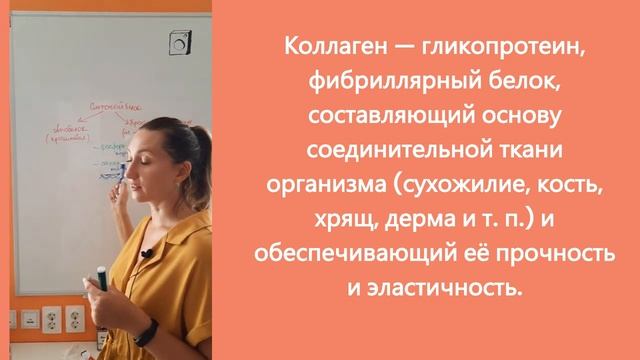2. Сложные белки смотреть онлайн