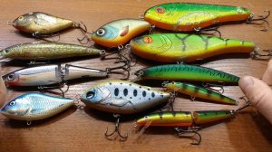 Как щука видит цвет брюха приманки? Зрение щуки.