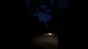 Выборг - Санкт-Петербург