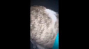 Приколы с котами! Смешные коты! С ОЗВУЧКОЙ! Самые Смешные Животные!