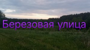 Березовая улица