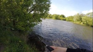 Ловля окуня с берега на крэнки