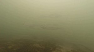 Зимняя рыбалка.Очередной выезд в Серпухов на цимлянку