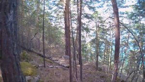 Курорт "Боровое" Казахстан