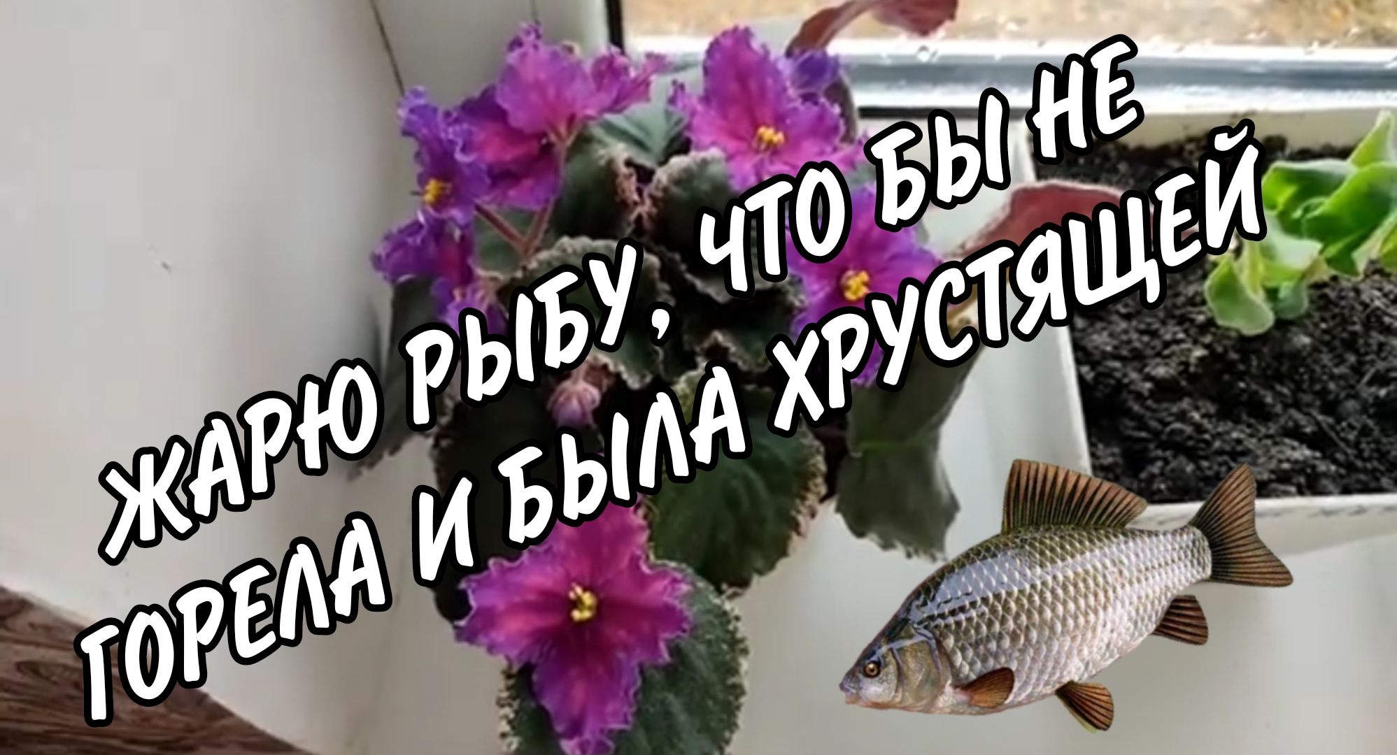 Погодные катаклизмы_лайфхак жарки рыбы, что бы не пригорода