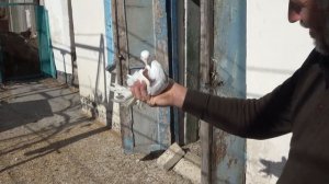 Бойные. В гостях у Владимира 22.10.2022 г.