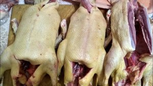 Голубой фаворит как выглядит тушка//Какую утку выгодно держать.