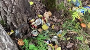 Пыть-яхские волонтёры убрали несанкционированную свалку в лесу возле часовни