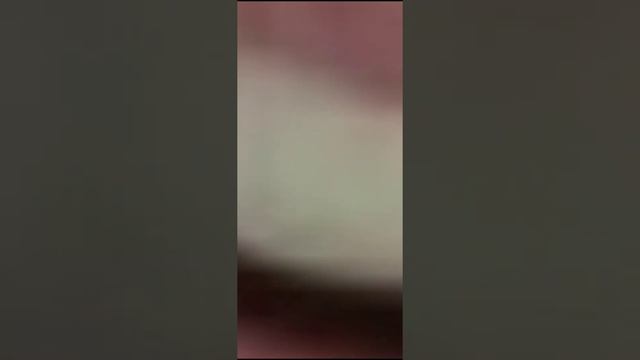 какого цвета зубы президента смотреть онлайн