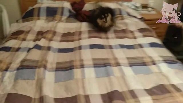 Её сейчас жёстко отхентаят ? | Развращённая гильдия смотреть онлайн