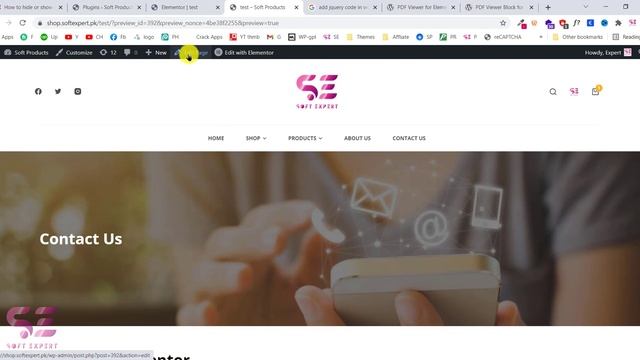 How to Embed PDF on Your WordPress Website - Elementor or Gutenberg смотреть онлайн