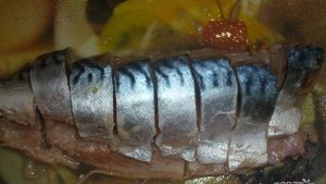 Сагудай из скумбрии