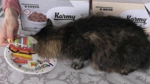 Кормите своего питомца правильно??Любимая еда моих кошек и собаки. Обзор корма Karmy.