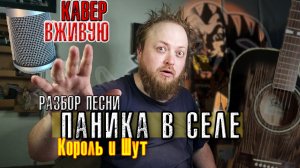 Разбор кавер Паника в селе на гитаре песня