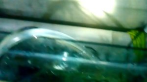 самый экономный способ подогрева воды в аквариуме