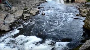 река ЧЕМАЛ, Горный Алтай, красивая природа, экскурсия