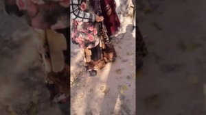 Қонушикани ФАРОБ!