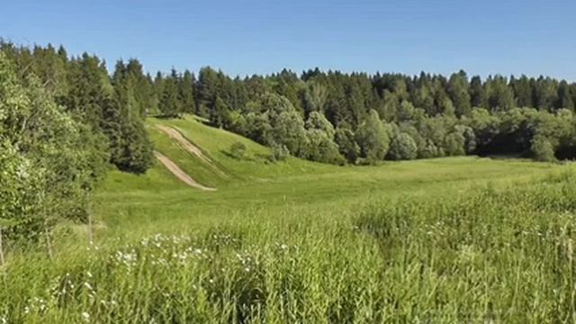 Пение птиц лечит нервную систему, снимет стресс и поднимет настроение/Sounds of nature/Relax/