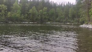Поход выходного дня