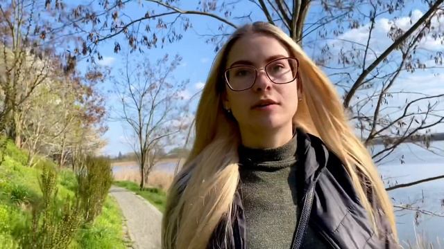 МИФЫ///СТЕРЕОТИПЫ ПРО СИБИРСКИХ ХАСКИ…6 мифов про хаски смотреть онлайн