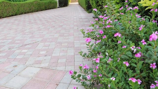 Radissonblu,Fujairah,UAE смотреть онлайн