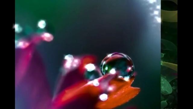 Любка Рондова - Цвеке цофтеше смотреть онлайн