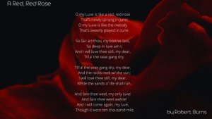 A Red, Red Rose BY ROBERT BURN