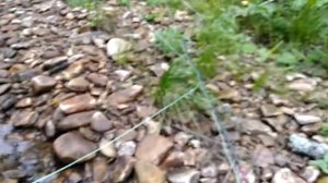 Ловля ручьевой форели на Южном Урале нахлыстом, поймал отпусти.