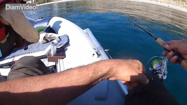 Ловля черноморского ласкиря с лодки смотреть онлайн