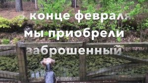 Старая дача. Купили заброшенный участок.