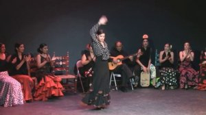 Flamenco Dance: Tarde Andaluza