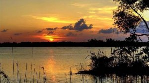 Леокадия Масленникова. Песня Над широкой рекой.wmv