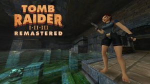 Прохождение Tomb Raider I Remastered: Новая игра + [Миллион ключей]