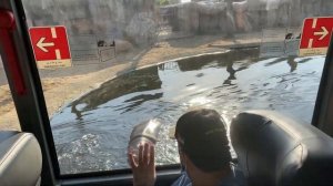 DUBAI SAFARI PARK (2020) REOPENED- PART 1/ Must visit place in Dubai/ Number 1 Zoo