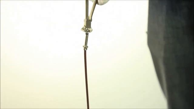 Evidence Audio SIS/Monorail Demo by GuitarCube Distribution смотреть онлайн