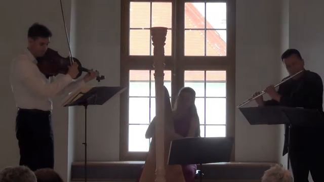 Antonio Vivaldi Sonata a due a-Moll RV 86 смотреть онлайн