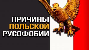 Не верим в честность игрока, в любовь к России поляка